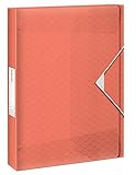 Algopix Similar Product 5 - Esselte 626263 Box File 40 mm Fishing