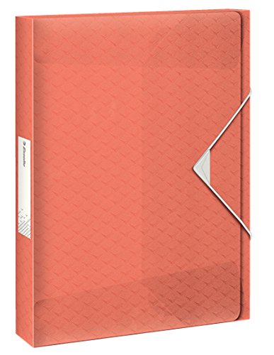 Algopix Similar Product 6 - Esselte 626263 Box File 40 mm Fishing