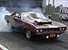 Algopix Similar Product 15 - Mopar or No Car!