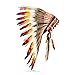 Algopix Similar Product 11 - Native Americana Native American Indian