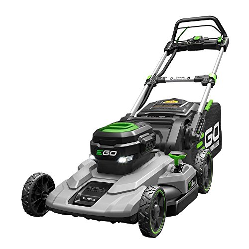 Algopix Similar Product 5 - EGO 21 in 56Volt Lithiumion Cordless
