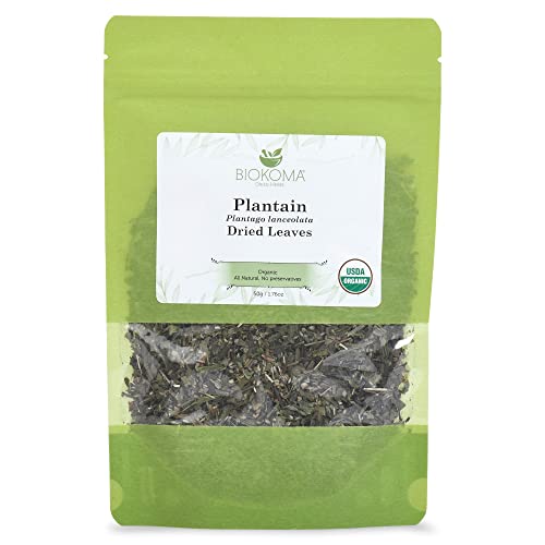 Algopix Similar Product 5 - Pure and Organic Biokoma Plantain Dried