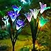 Algopix Similar Product 16 - Outdoor Solar Garden Stake Lights 