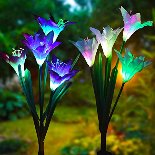 Algopix Similar Product 10 - Outdoor Solar Garden Stake Lights 