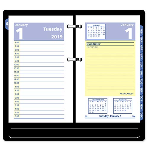 Algopix Similar Product 4 - ATAGLANCE 2019 Daily Desk Calendar