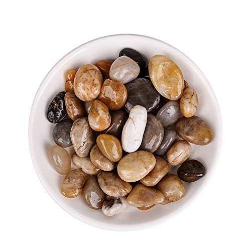 Algopix Similar Product 1 - River RockAquarium
