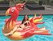 Algopix Similar Product 2 - Cococabana Pool Lounge Phoenix