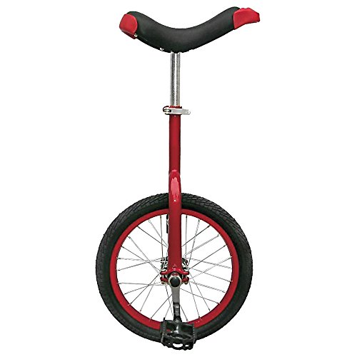 Algopix Similar Product 10 - Fun 16 Inch Wheel Unicycle with Alloy