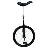 Algopix Similar Product 7 - Fun 20 Inch Wheel Unicycle with Alloy