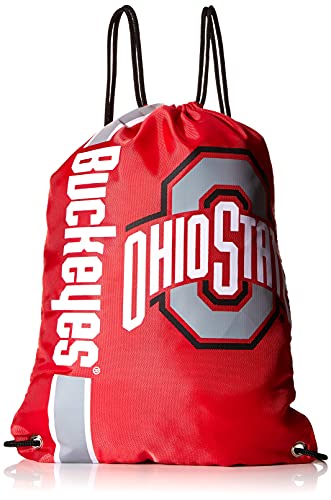 Algopix Similar Product 12 - FOCO NCAA Big Logo Drawstring Backpack