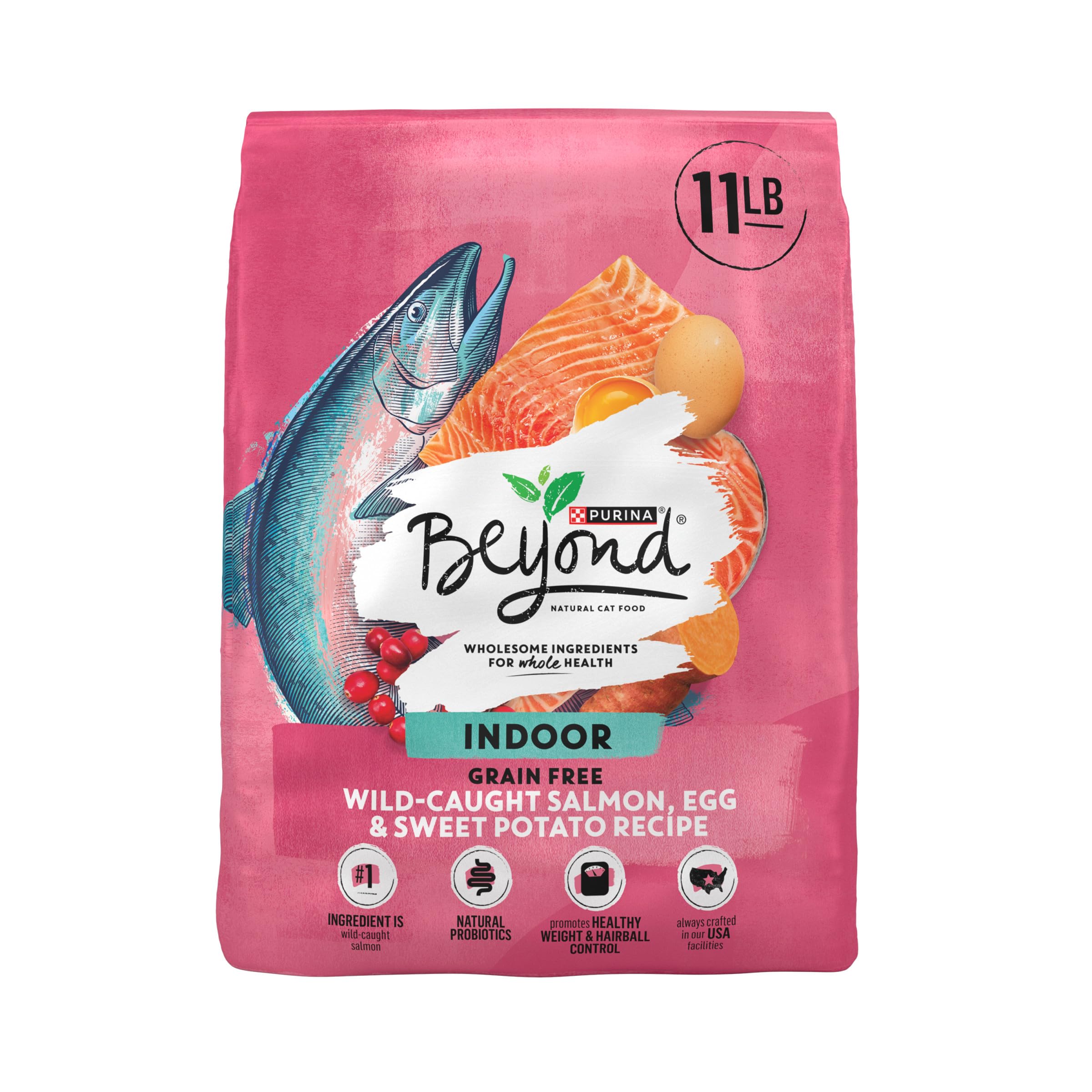 Algopix Similar Product 6 - Purina Beyond Indoor Grain Free Salmon