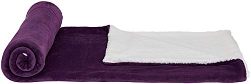 Algopix Similar Product 3 - Amazon Basics UltraSoft Micromink