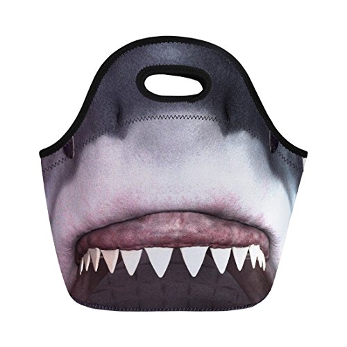 Algopix Similar Product 2 - Coloranimal Cool Animal Shark Pattern
