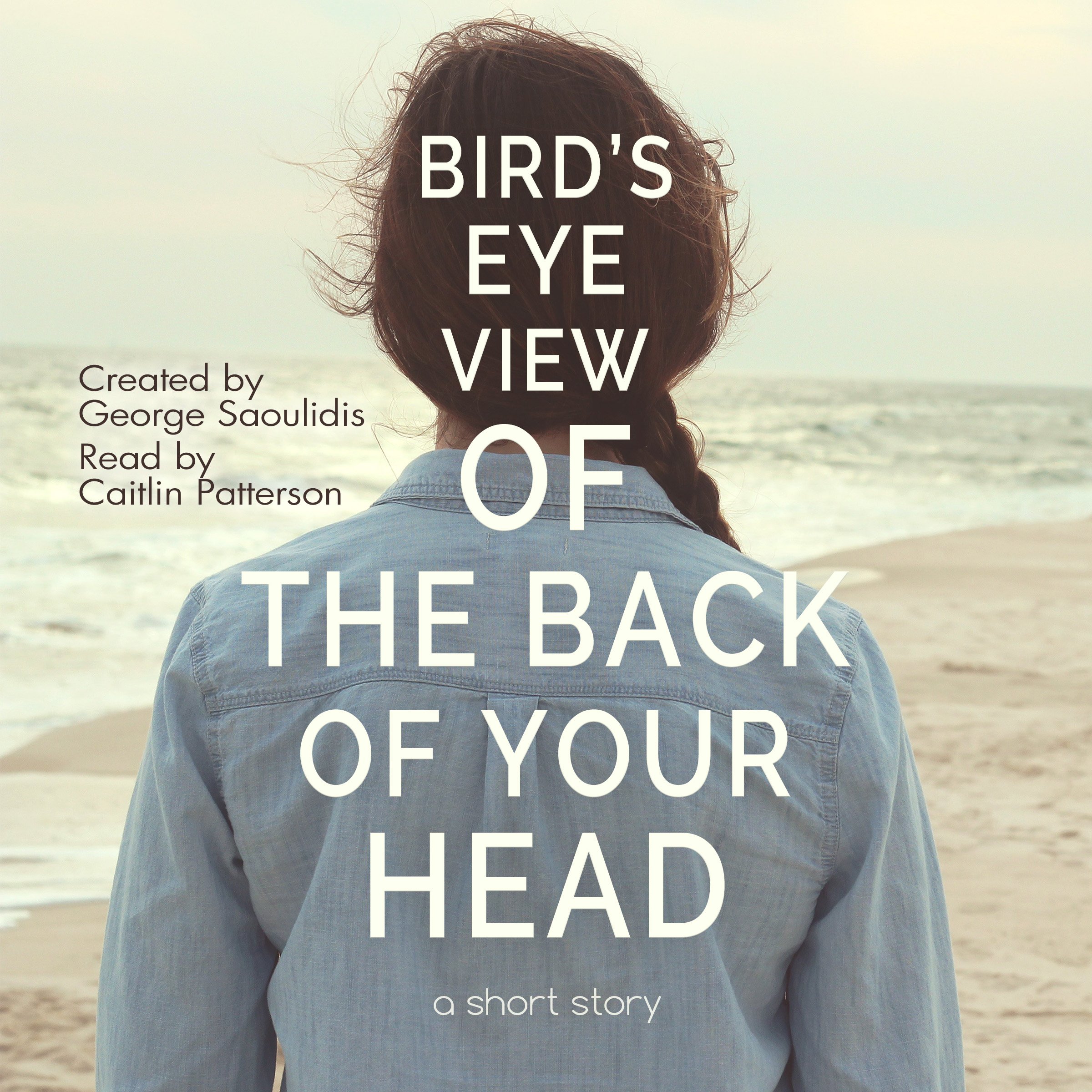 Algopix Similar Product 19 - BirdsEye View of the Back of Your