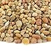 Algopix Similar Product 14 - Southwest Boulder  Stone Landscape