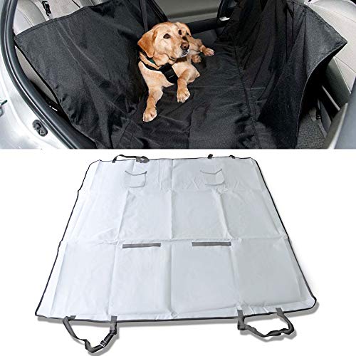 Algopix Similar Product 13 - 