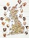 Algopix Similar Product 19 - Thea Gouverneur Cross Stitch Kit