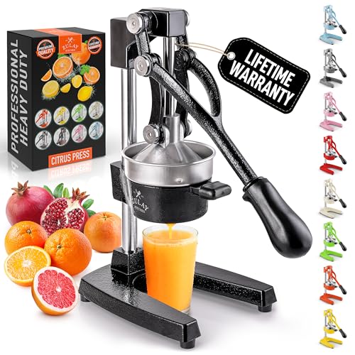 Algopix Similar Product 11 - Zulay Kitchen CastIron Orange Juice