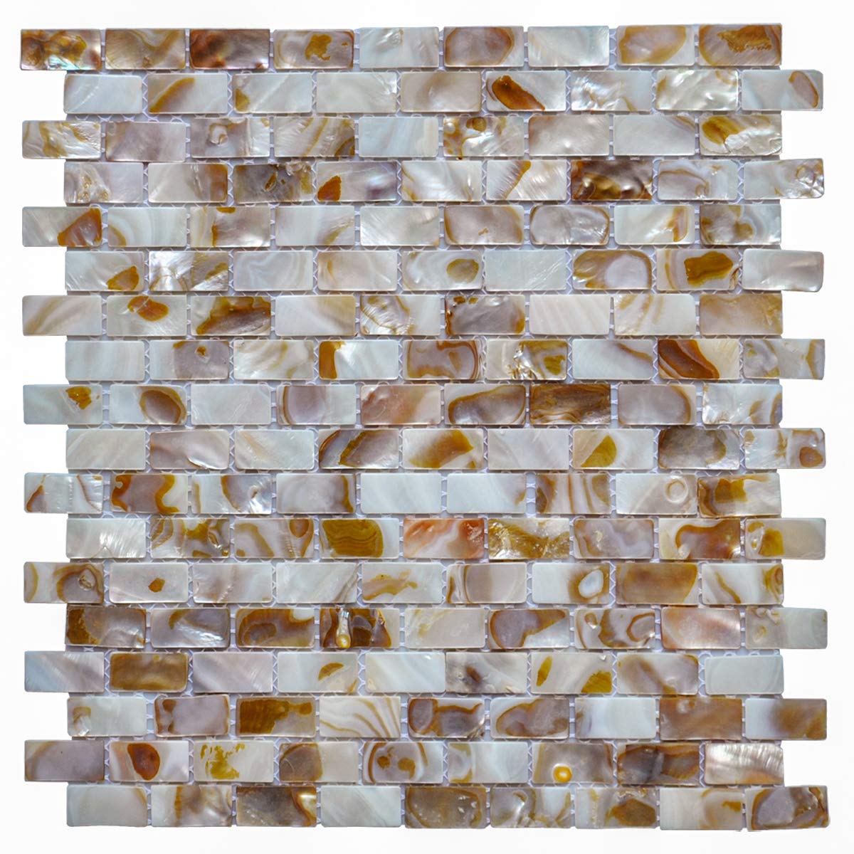 Algopix Similar Product 8 - Art3d 10Piece Mother of Pearl Shell
