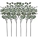 Algopix Similar Product 12 - Artificial Eucalyptus Stems Leaves 6