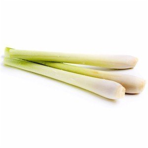 Algopix Similar Product 7 - JACOBS FARM Organic Lemongrass, 2 OZ
