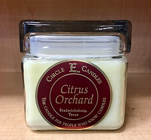Algopix Similar Product 3 - Circle E 28oz Citrus Orchard Candle
