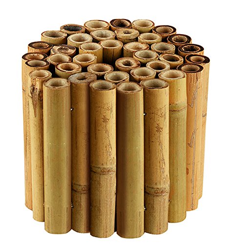 Algopix Similar Product 4 - Gardman 9275 Edging Bamboo, 5.9"