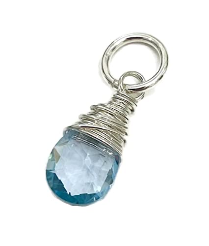 Algopix Similar Product 2 - December Birthstone Charm for Necklace