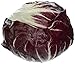 Algopix Similar Product 16 - Radicchio