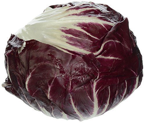 Algopix Similar Product 16 - Radicchio