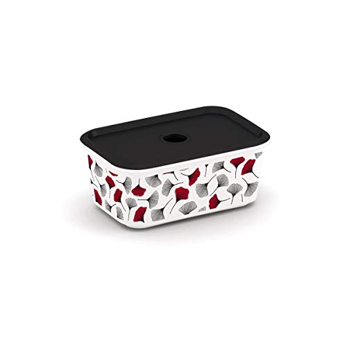 Algopix Similar Product 6 - KIS Chic Box Plus Style M 29 x 22 x