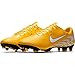 Algopix Similar Product 16 - Nike Mens Vapor 12 Pro NJR FG