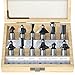 Algopix Similar Product 6 - FivePears Tungsten Carbide Router Bits