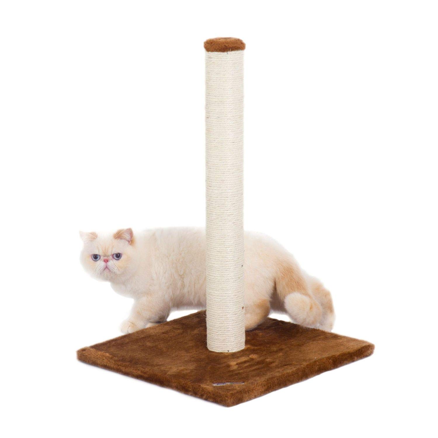 Algopix Similar Product 12 - Fluffy Paws  Cat Scratching Post with