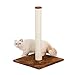 Algopix Similar Product 8 - Fluffy Paws  Cat Scratching Post with