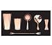Algopix Similar Product 1 - Barprofessional SETCTCP Cocktail Tools
