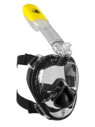 Algopix Similar Product 20 - Body Glove AIRE Full Face Snorkel Mask