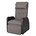 Algopix Similar Product 15 - Christopher Knight Home Ostia Recliner