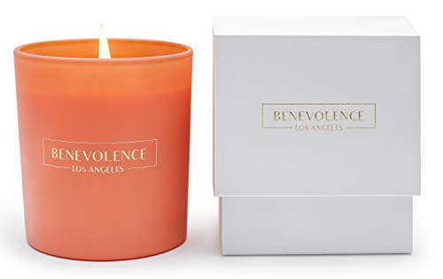 Algopix Similar Product 8 - Benevolence LA Hibiscus  Palmwood