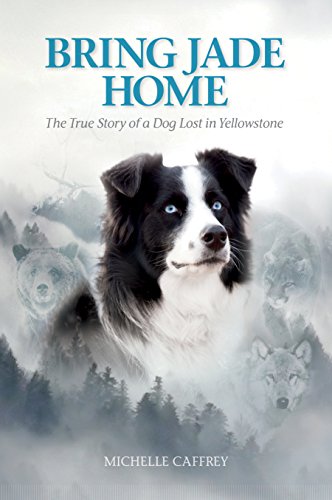 Algopix Similar Product 5 - Bring Jade Home The True Story of a
