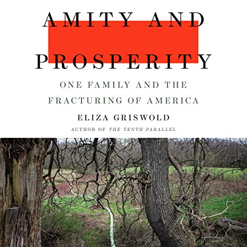 Algopix Similar Product 17 - Amity and Prosperity One Family and
