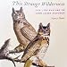 Algopix Similar Product 1 - This Strange Wilderness The Life and
