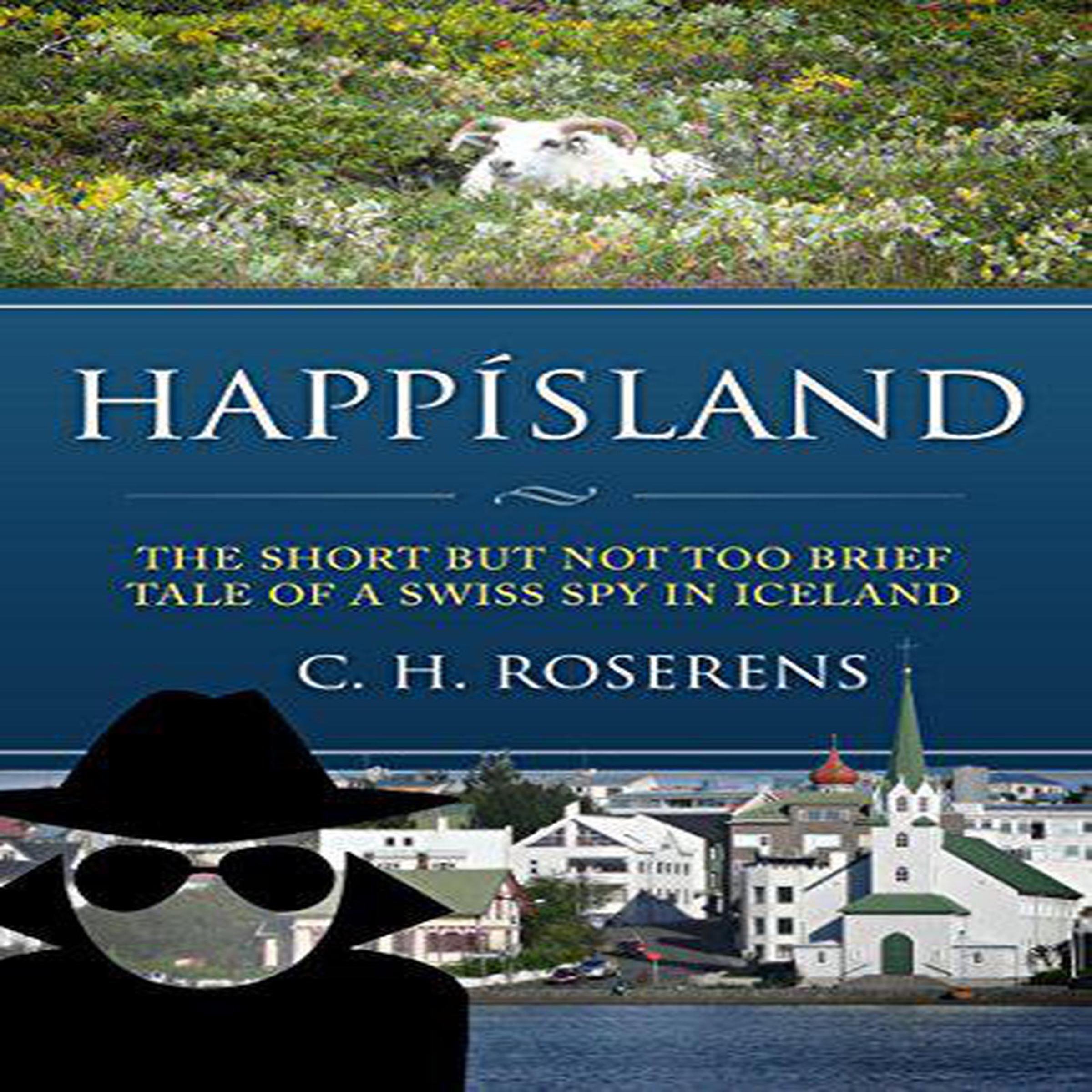 Algopix Similar Product 19 - Happsland The Short but Not Too