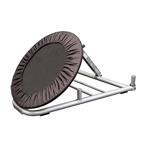 Algopix Similar Product 4 - Body-Solid GBR10 Ball Rebounder