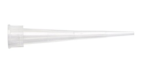 Algopix Similar Product 15 - JK Scientific 920067 10 L Clear