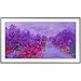 Algopix Similar Product 19 - Samsung UN43LS03NAFXZA 43 Class The