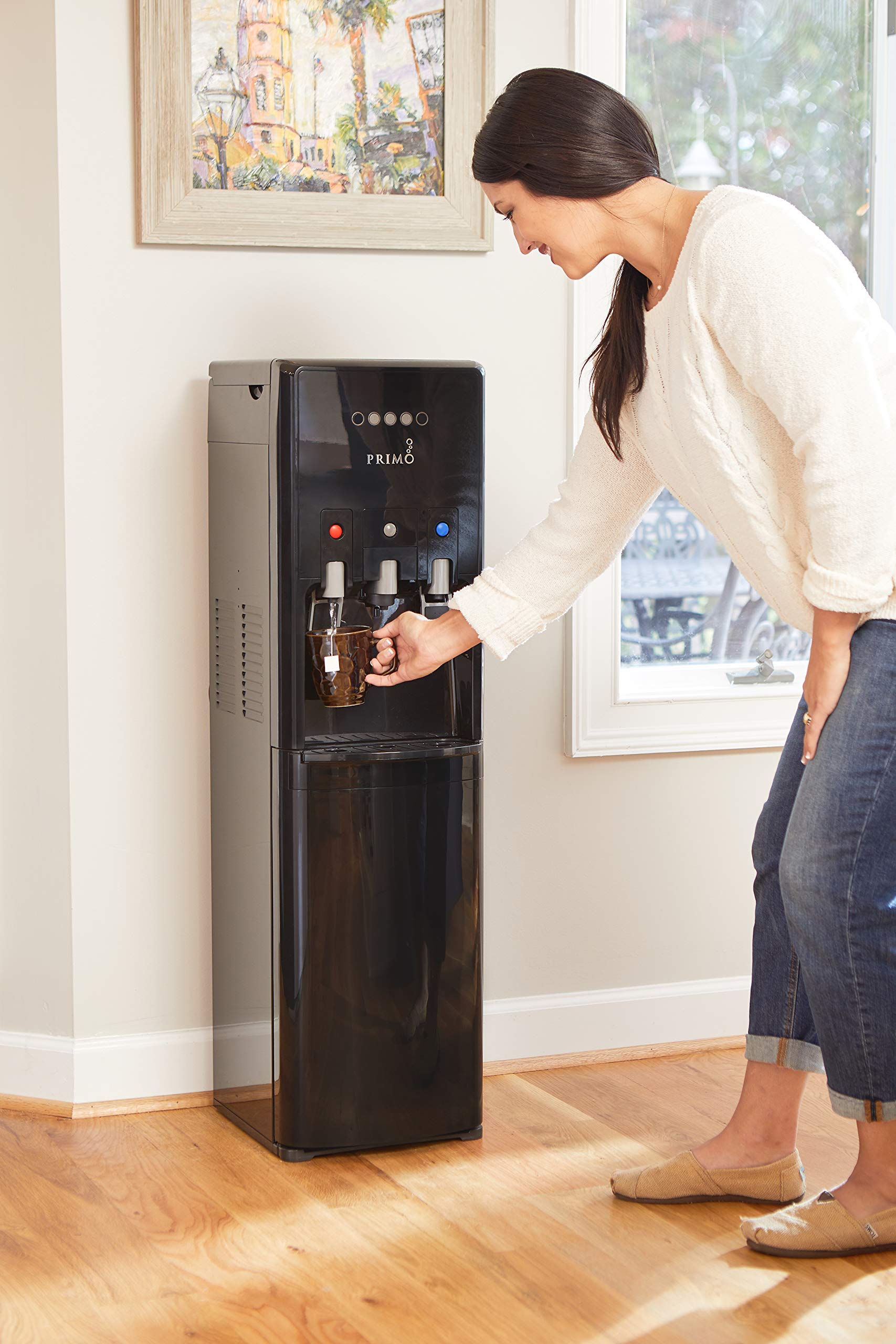Algopix Similar Product 6 - PRIMO 601088 Bottom Loading HotCold