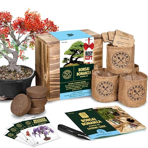 Algopix Similar Product 20 - Bonsai Tree Seed Starter Kit  Mini