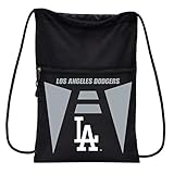 Algopix Similar Product 15 - NORTHWEST MLB Los Angeles Dodgers Team