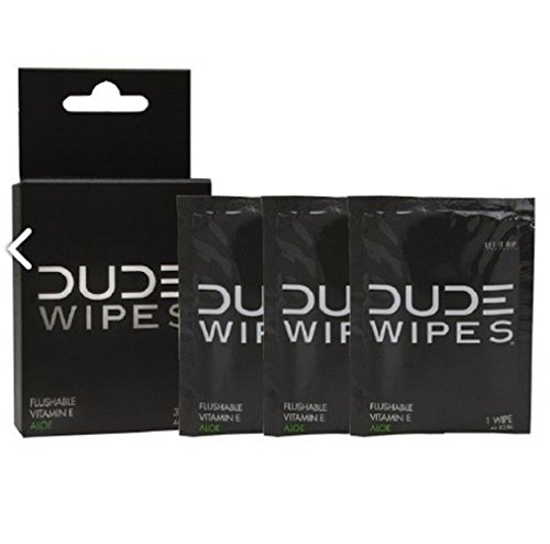 Algopix Similar Product 15 - Dude Wipes Travel Packets Flushable